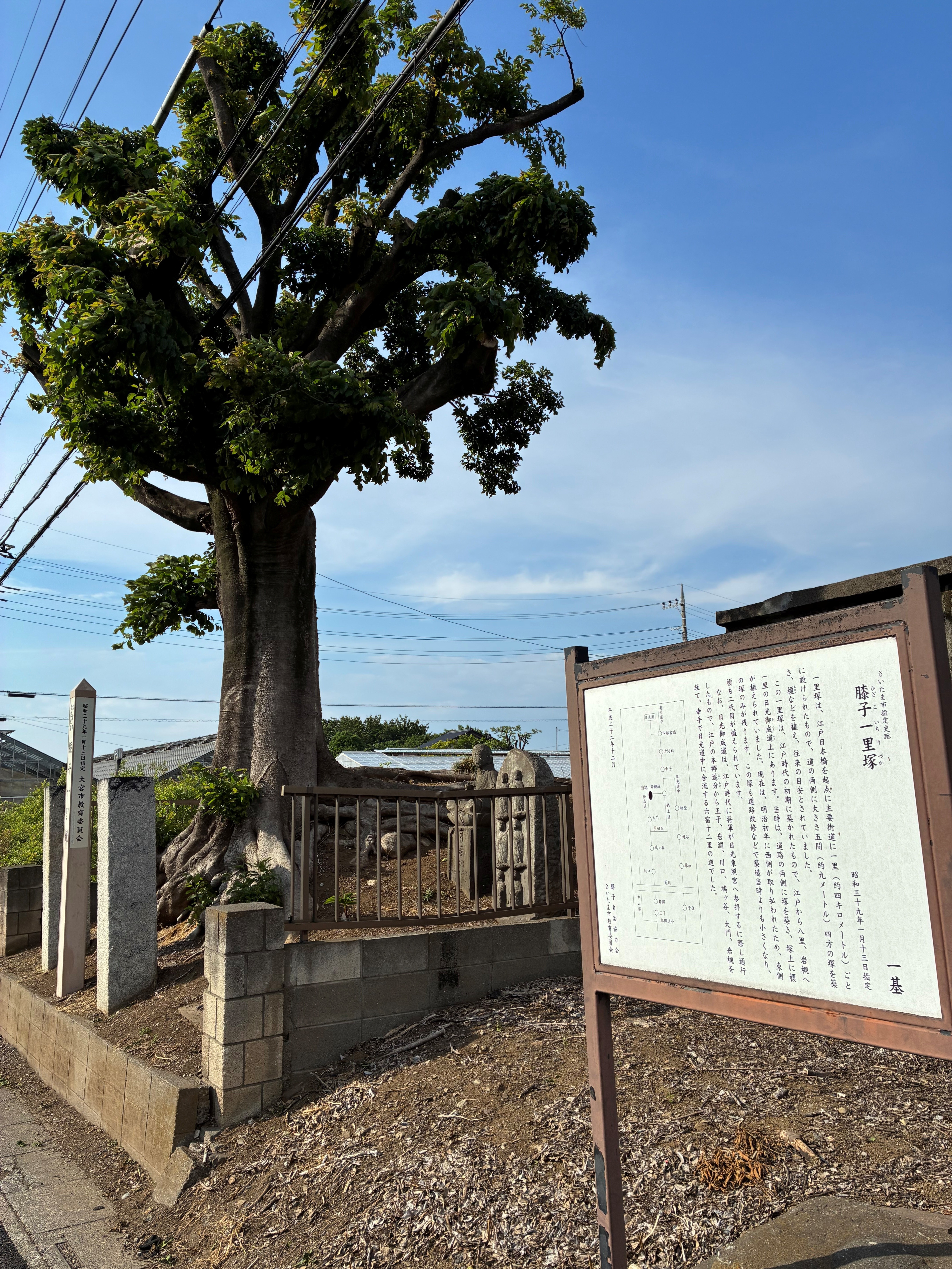 20260621　健康ウオーク（御成道見沼自然公園から岩槻へ）